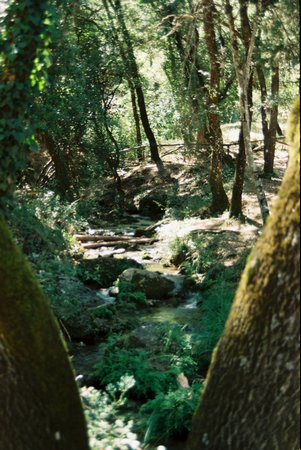 Campamento de Verano - Huerta Vieja - Foto 5