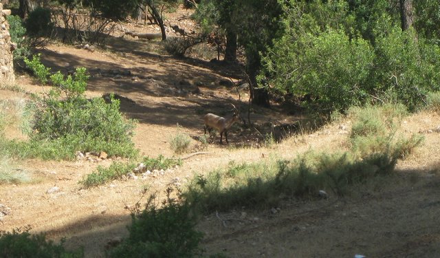 Campamento de Verano - Huerta Vieja - Foto 40