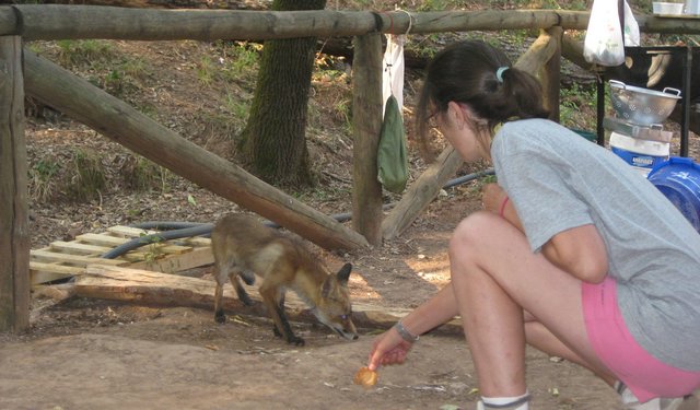 Campamento de Verano - Huerta Vieja - Foto 43