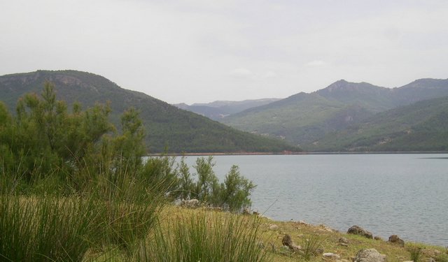 Campamento de Verano - Huerta Vieja - Foto 119