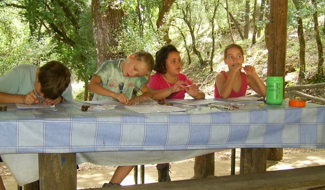 Campamento de Verano - Huerta Vieja - Foto 121