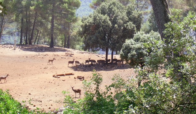 Campamento de Verano - Huerta Vieja - Foto 133