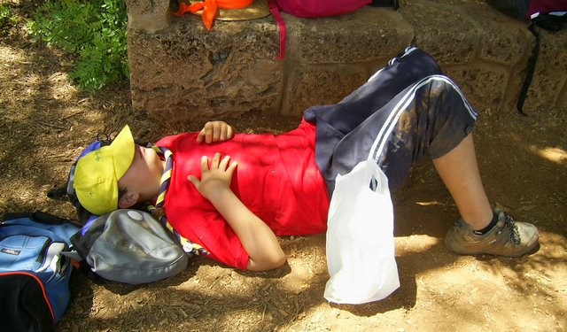 Campamento de Verano - Huerta Vieja - Foto 136