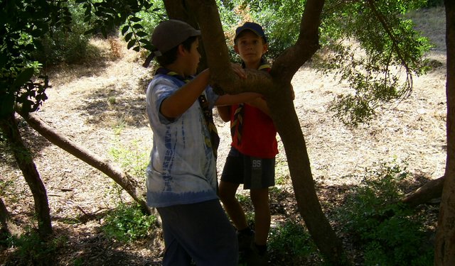 Campamento de Verano - Huerta Vieja - Foto 138