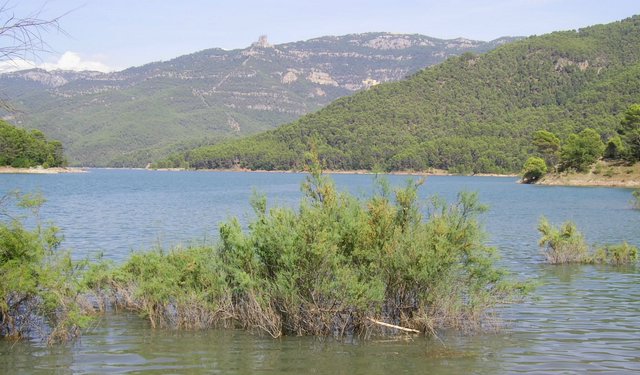 Campamento de Verano - Huerta Vieja - Foto 150