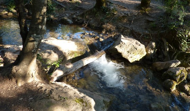 Campamento de Verano - Huerta Vieja - Foto 6