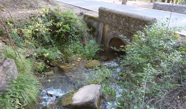 Campamento de Verano - Huerta Vieja - Foto 7