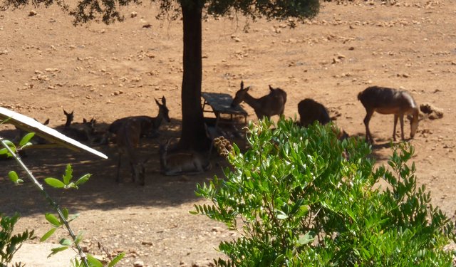 Campamento de Verano - Huerta Vieja - Foto 164