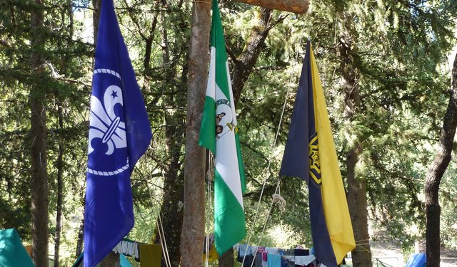 Campamento de Verano - Huerta Vieja - Foto 15