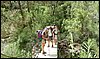 Campamento de Verano - 1 al 14 de agosto de 2010
