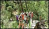 Campamento de Verano - 1 al 14 de agosto de 2010
