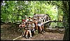 Campamento de Verano - 1 al 14 de agosto de 2010