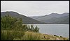 Campamento de Verano - 1 al 14 de agosto de 2010