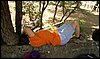 Campamento de Verano - 1 al 14 de agosto de 2010