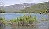 Campamento de Verano - 1 al 14 de agosto de 2010