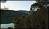 Campamento de Verano - 1 al 14 de agosto de 2010