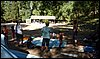 Campamento de Verano - 1 al 14 de agosto de 2010