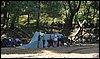 Campamento de Verano - 1 al 14 de agosto de 2010