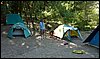 Campamento de Verano - 1 al 14 de agosto de 2010