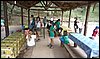Campamento de Verano - 1 al 14 de agosto de 2010
