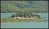 Campamento de Verano - 1 al 14 de agosto de 2010