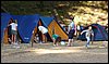 Campamento de Verano - 1 al 14 de agosto de 2010
