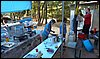 Campamento de Verano - 1 al 14 de agosto de 2010