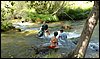 Campamento de Verano - 1 al 14 de agosto de 2010