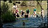 Campamento de Verano - 1 al 14 de agosto de 2010