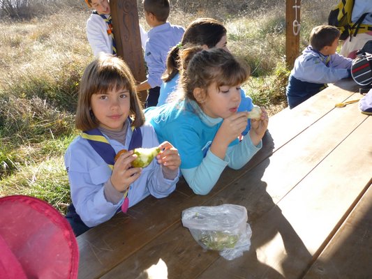 Campamento Navidad - Padul, 26-28 de diciembre de 2011 - Foto 44