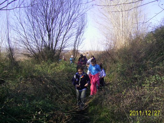 Campamento Navidad - Padul, 26-28 de diciembre de 2011 - Foto 23