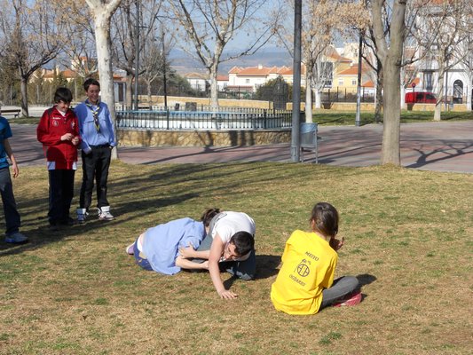 Varias Grupo - Ogijares, Ronda 2011 - 2012 - Foto 16