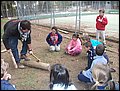 Campamento S.S Actividades - Bermejales, 5-8 de abril de 2012