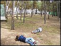 Campamento S.S Actividades - Bermejales, 5-8 de abril de 2012