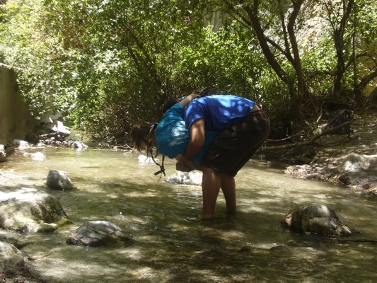Excursion a los Cahorros - Monachil, 30 de junio de 2012 - Foto 45