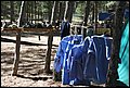 Campamento verano, Los Negros (actividades), 01-14 de agosto de 2016