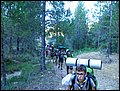 Campamento verano, Los Negros (actividades), 01-14 de agosto de 2016